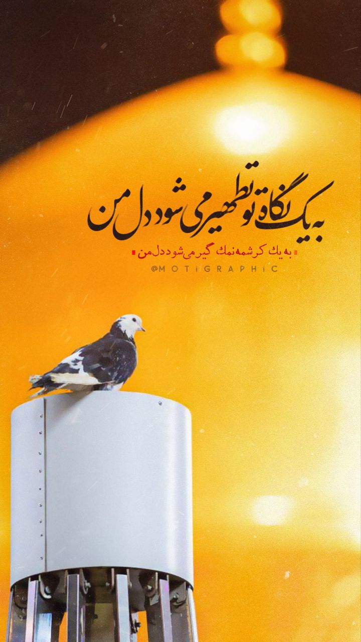 به یک نگاه تو تطهیر می‌شود دل من