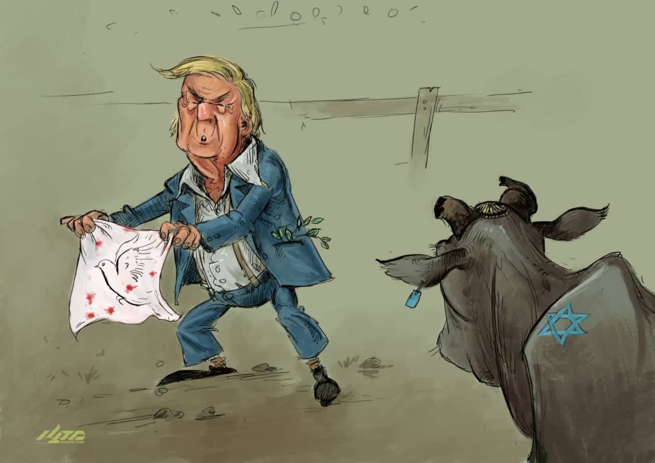 گاوبازی