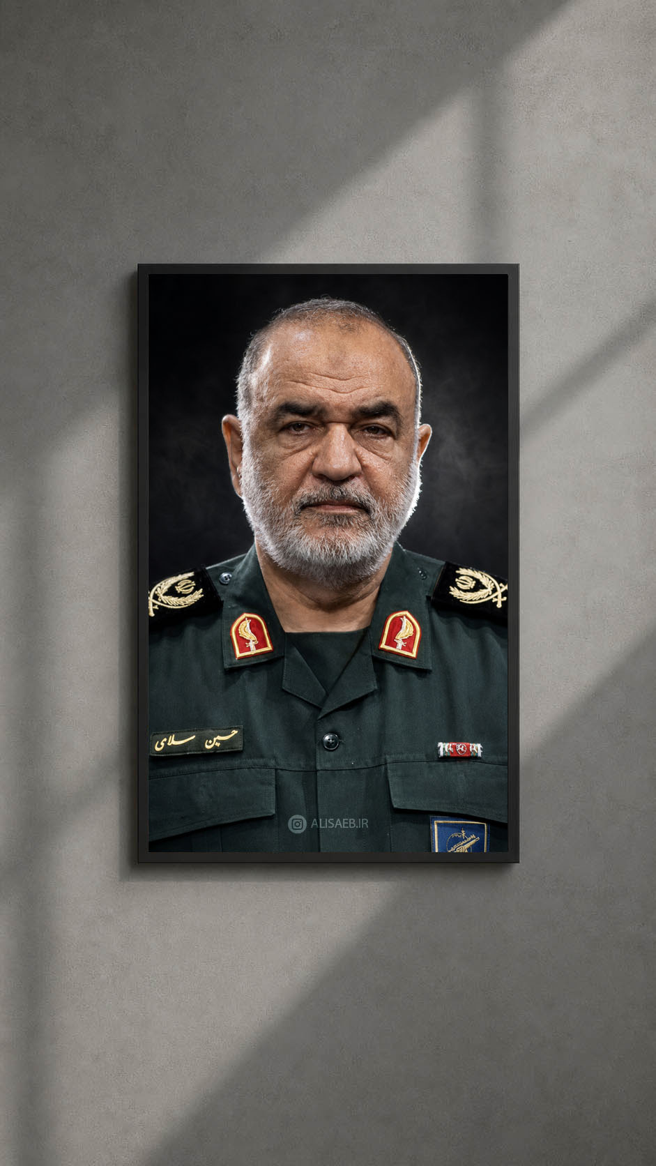 تصویر سازی شهید سلامی