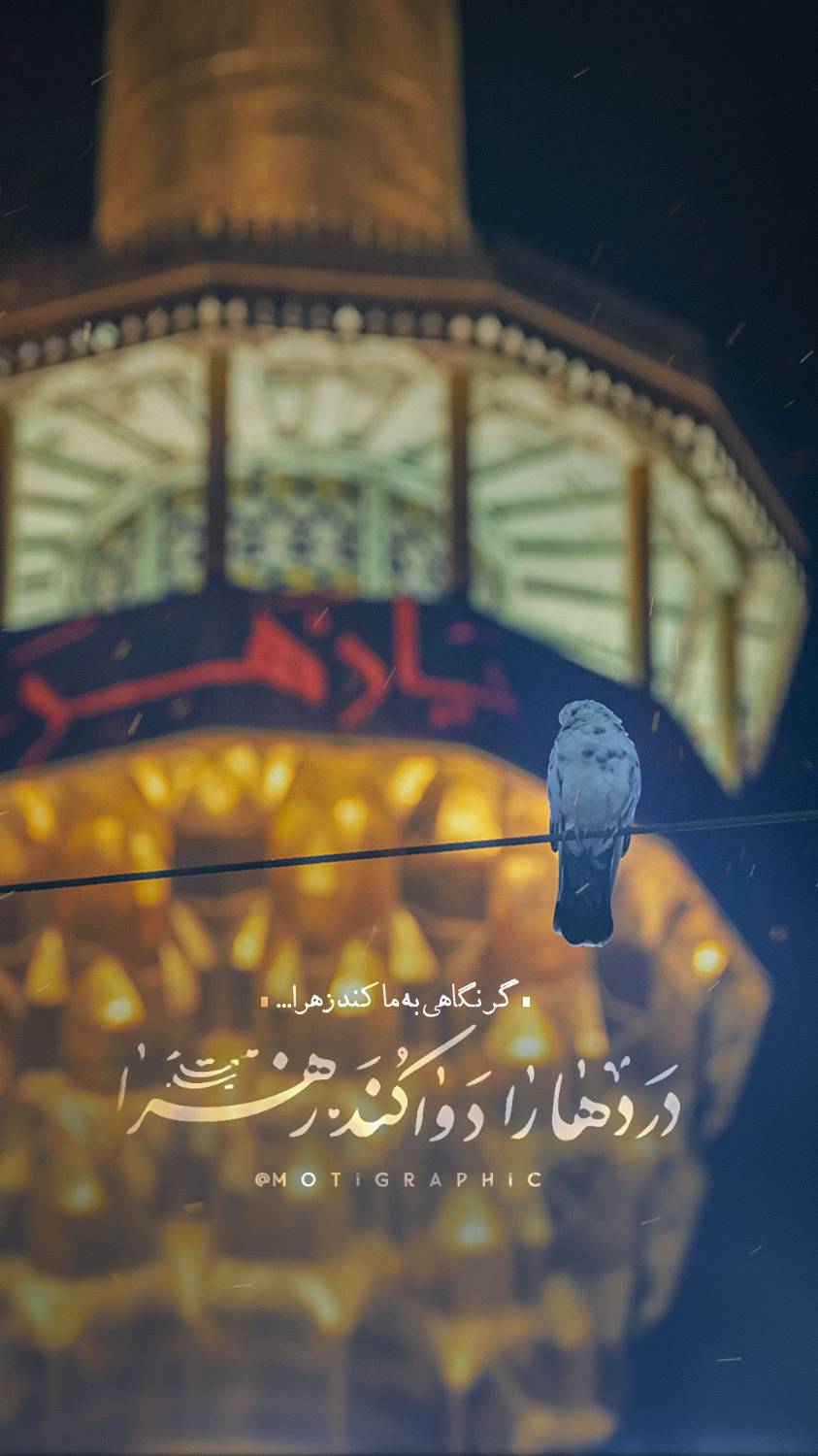گر نگاهی به ما کند... زهرا (س)